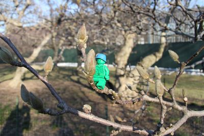 10_LPK_TheLittlePeacekeeper_02 051.jpg