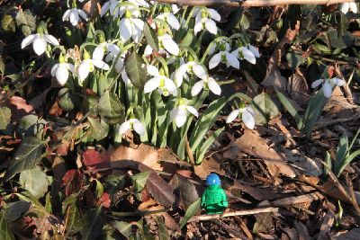 10_LPK_TheLittlePeacekeeper_02 065.jpg