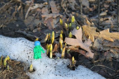 10_LPK_TheLittlePeacekeeper_02 059.jpg