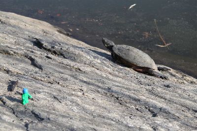 10_LPK_TheLittlePeacekeeper_02 028.jpg