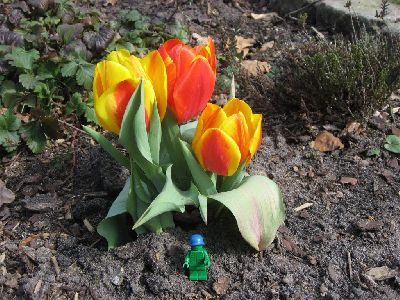 10_LPK_TheLittlePeacekeeper_03 133.jpg