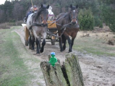 10_LPK_TheLittlePeacekeeper_03 113.jpg