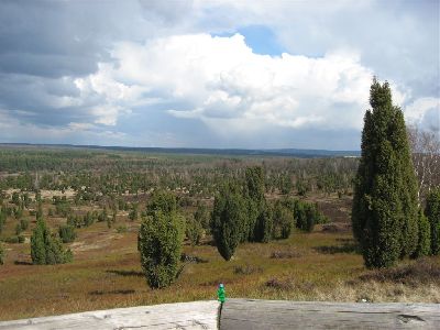 10_LPK_TheLittlePeacekeeper_03 130.jpg